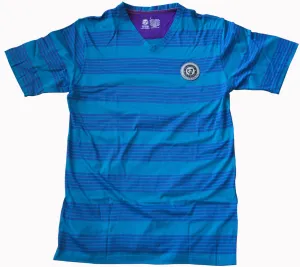 Mercerized Men's V-Neck Tee : Teal and Blue Stripe