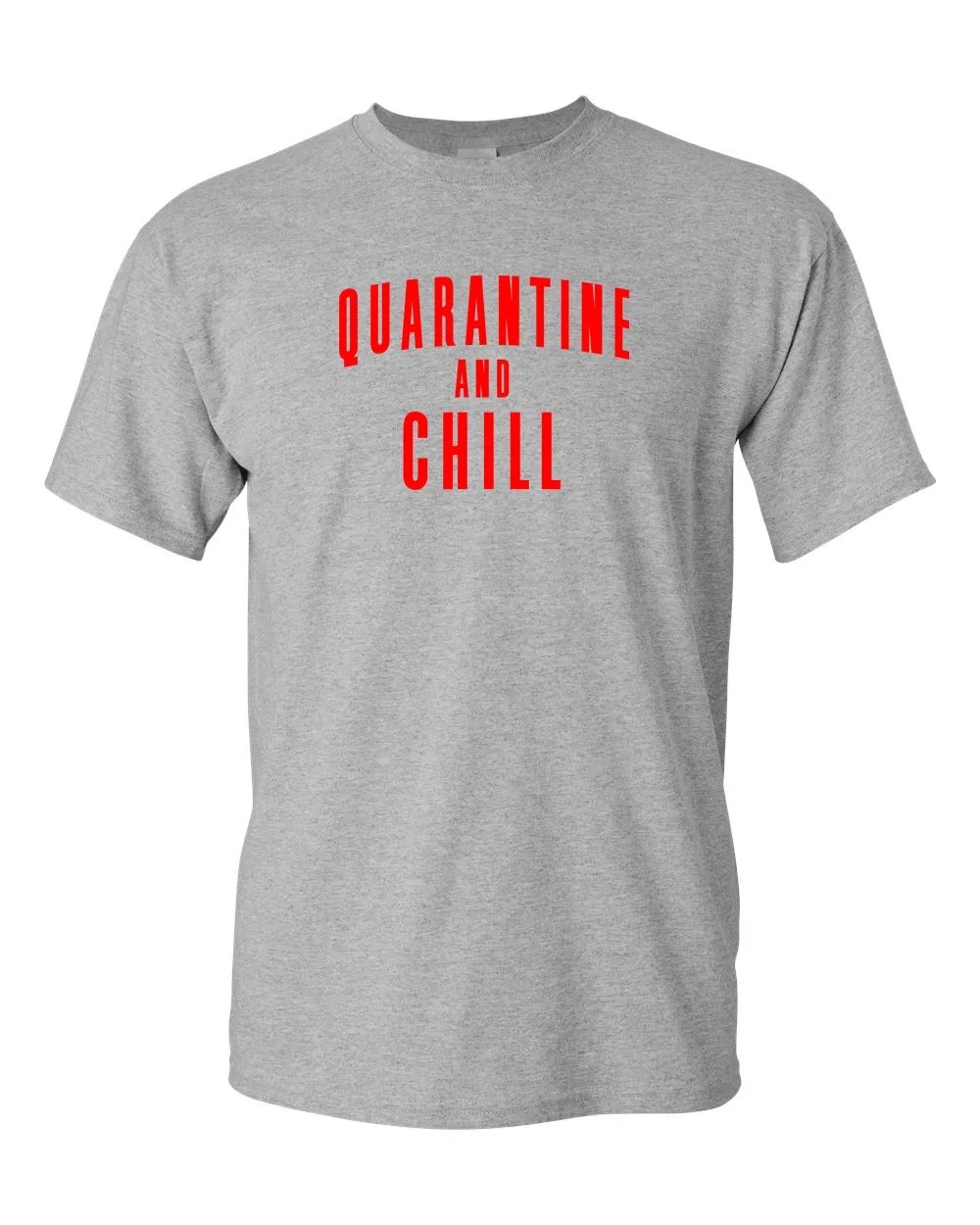 Quarantine And Chill T-Shirt funny meme t-shirt quarantine meme tees