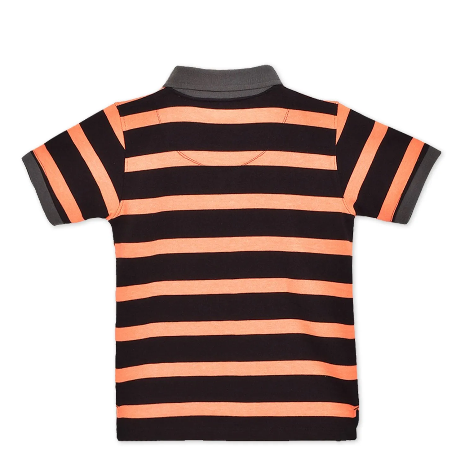 Streaked Polo Tshirt